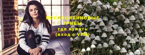 меф Алексин