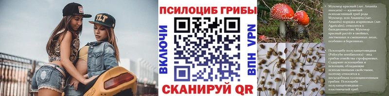 Галлюциногенные грибы Psilocybe  Лениногорск 